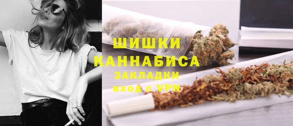 дживик Абаза