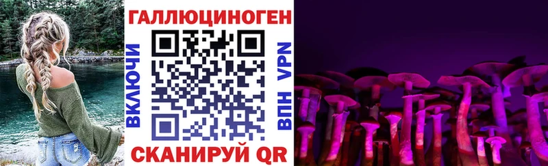Псилоцибиновые грибы мицелий  наркотики  Советск 